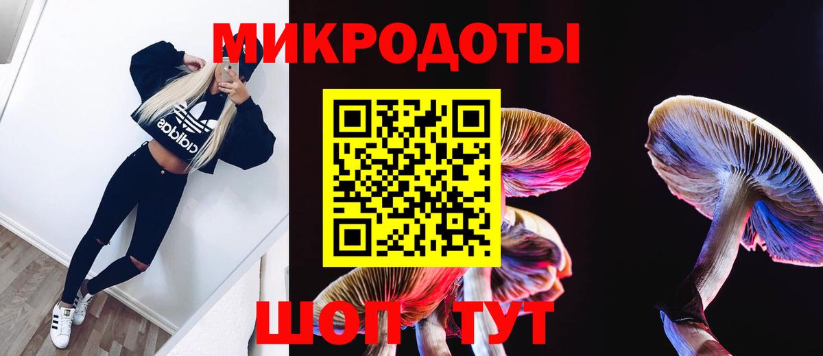 Псилоцибиновые грибы Cubensis Волоколамск