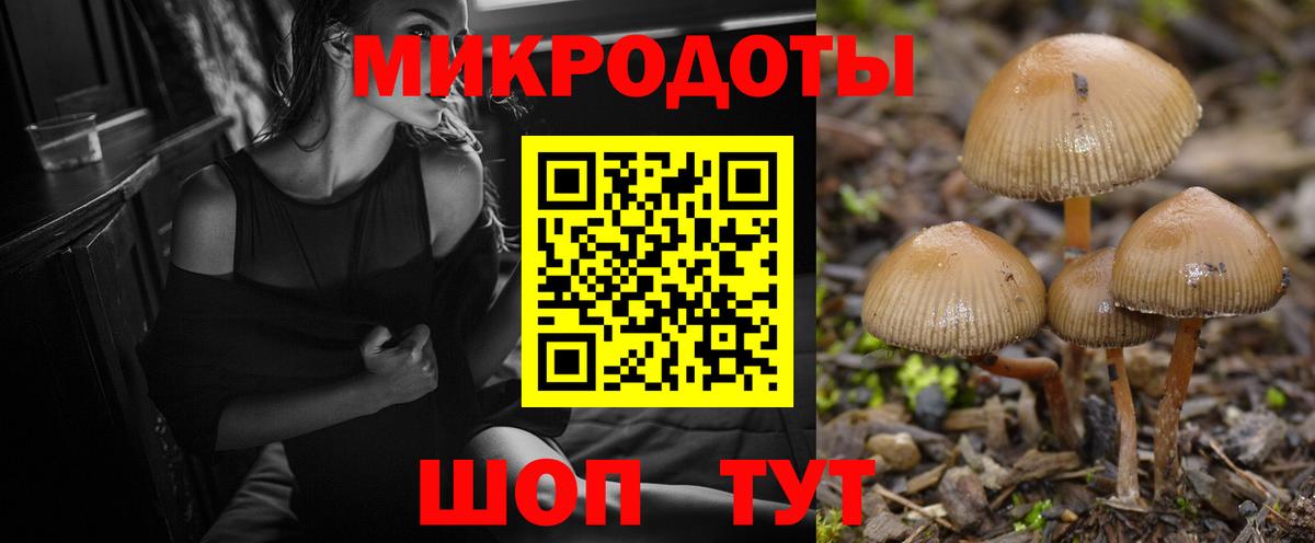 Галлюциногенные грибы мицелий  Галлюциногенные грибы ЛСД  Вход с VPN  Волоколамск 